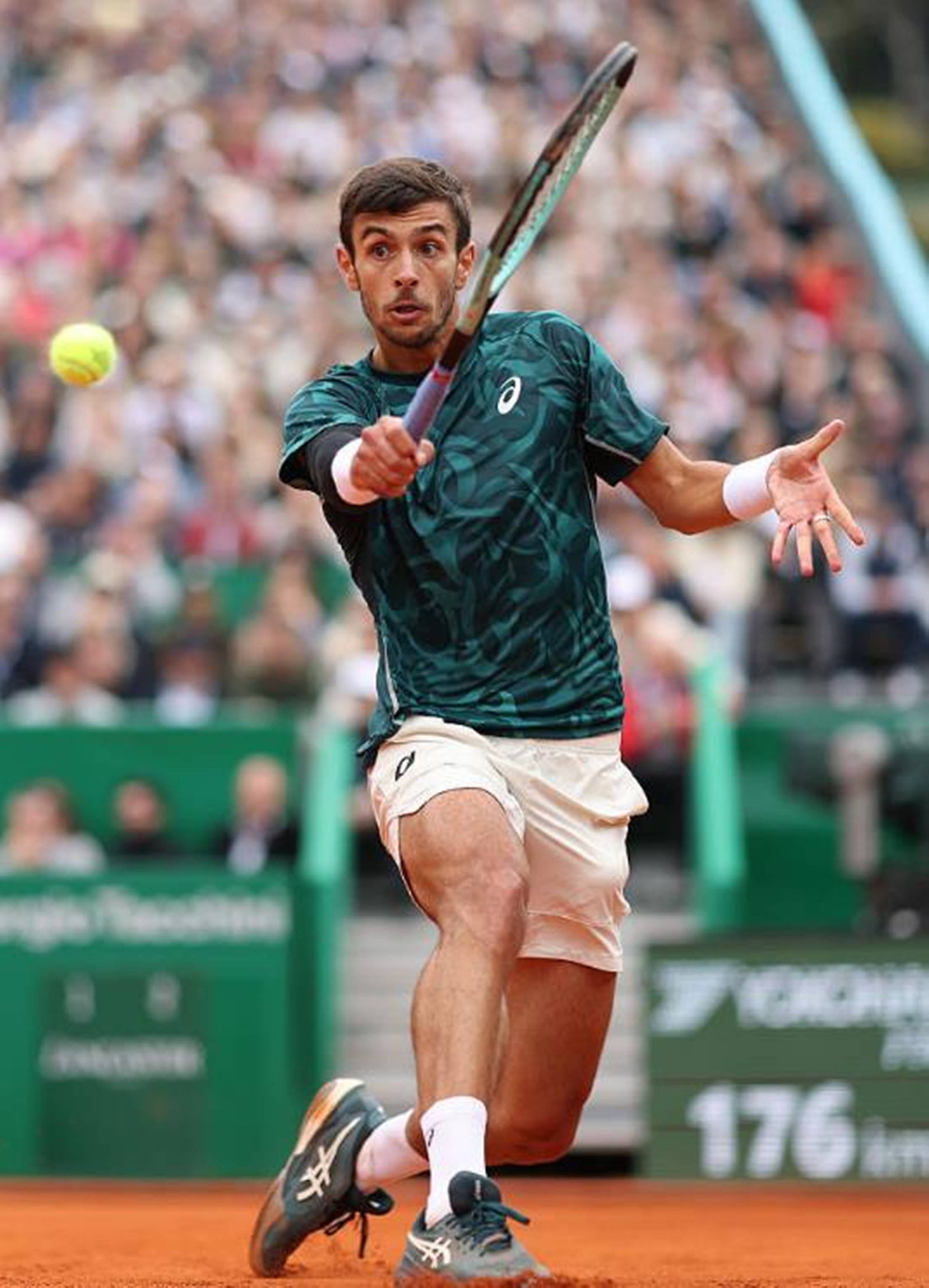 较为稳健的 较为稳健的